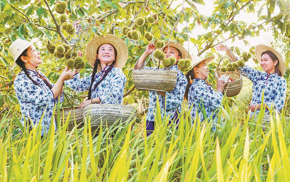 ժB(ti)ĔzcӈD(zhn)Tƺ塣 zҕXؑc