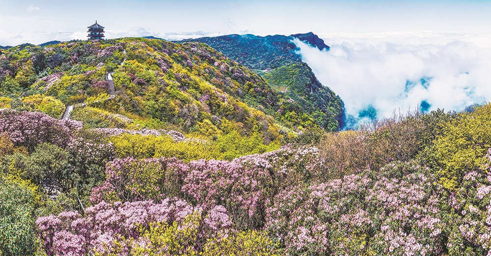 ɽN Ĕzc(din)ɽ zҕXؑc