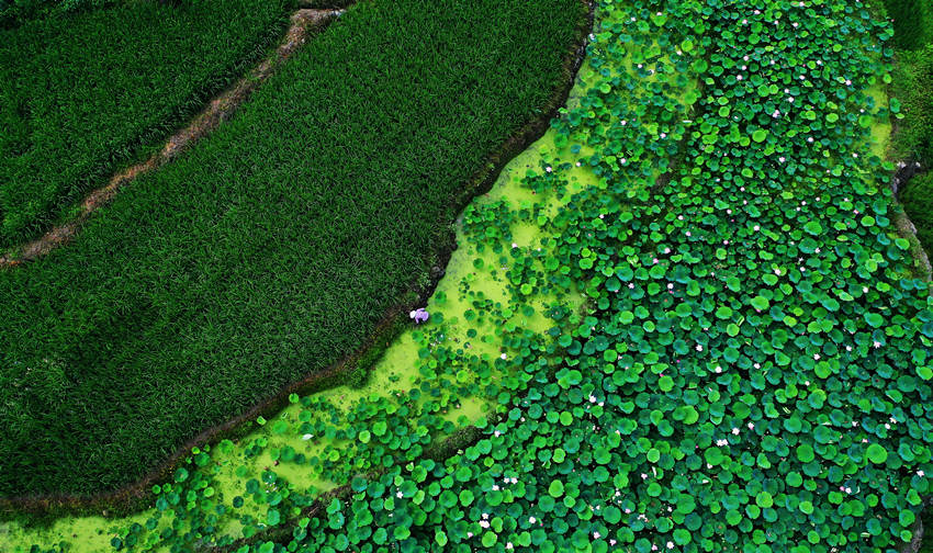 ؑcˮ(rn)Ϫl(xing)ФҜϴƬĺcӳȤΨz