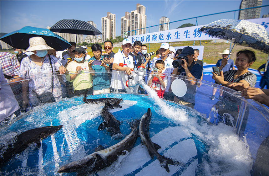 L(zhng)ϡlΣˮֳ(dng)F(xin)(chng)Ƚ܊ z