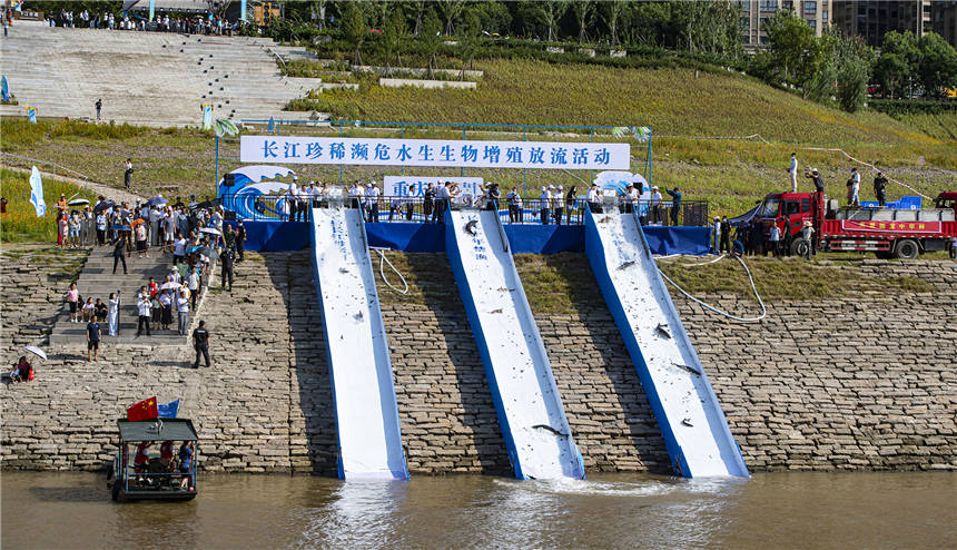 5fβA\L\֬~ȇcoˮҰﱻLȽ܊ z