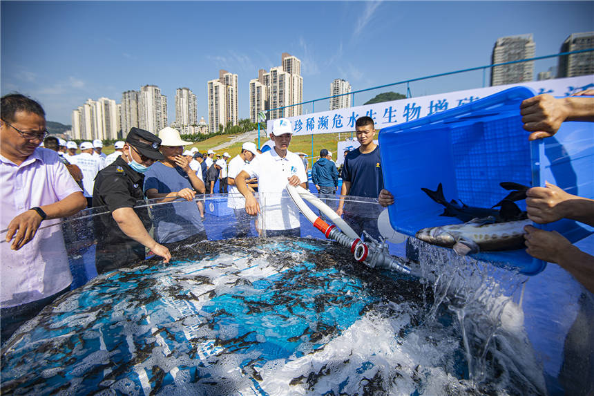 LϡlΣˮֳӬF(xin)Ƚ܊ z