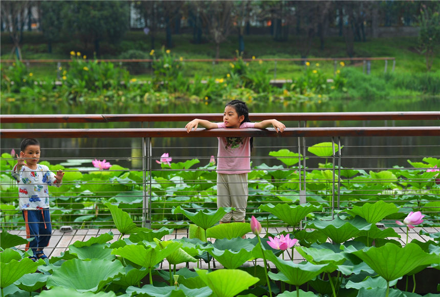 ɻ׌ͯԒ~do(w)޵ͯȤ z