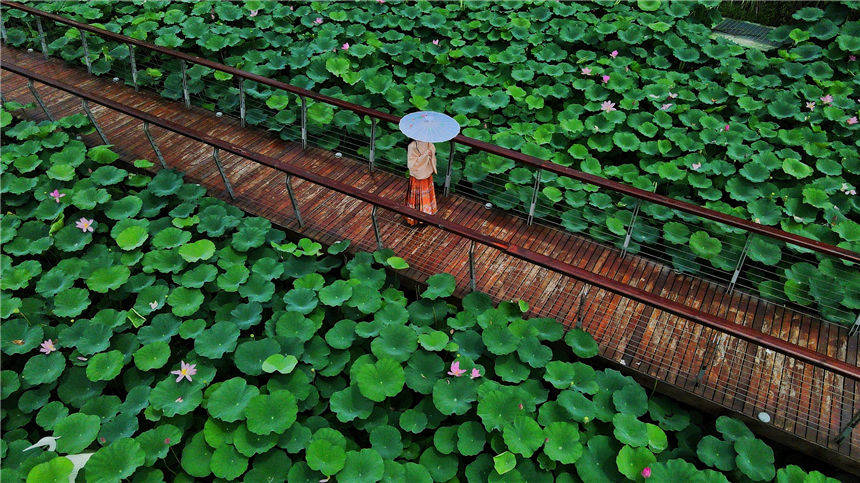 ĿиMغɻһ(yu)ˮī z