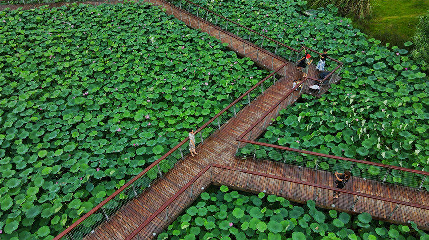 h(yun)̎ȥһӾGɫĻ̺ z