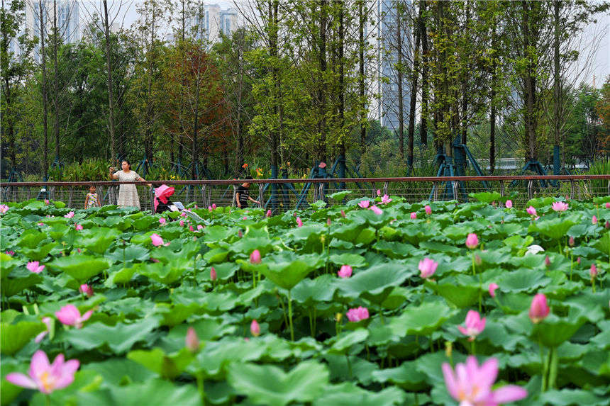 ɻpɻǧ˰ّB(ti) z