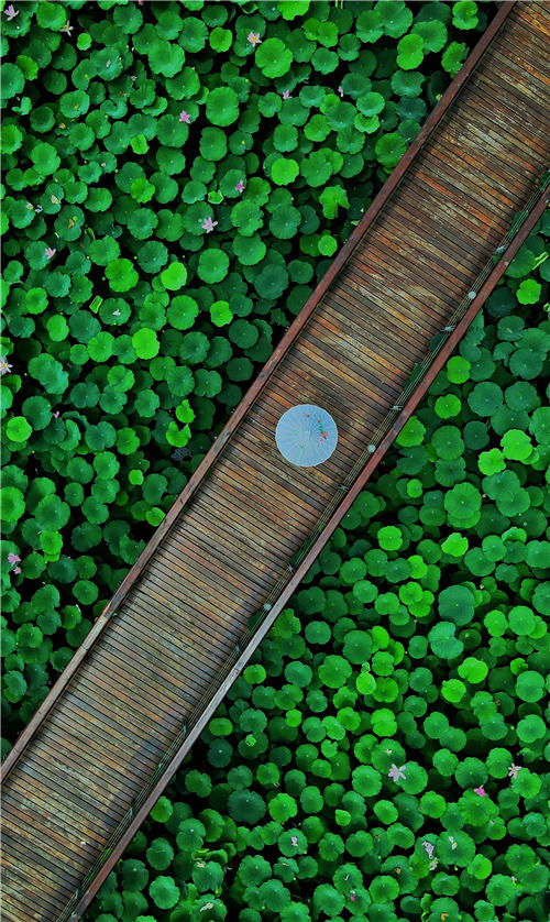 ĿиM(mn)غɻһ(yu)ˮī(hu) z