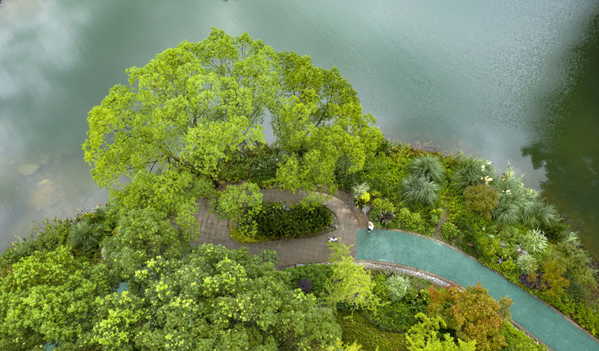 ؑcбՅ^(q)Nɽ^(q)͢z