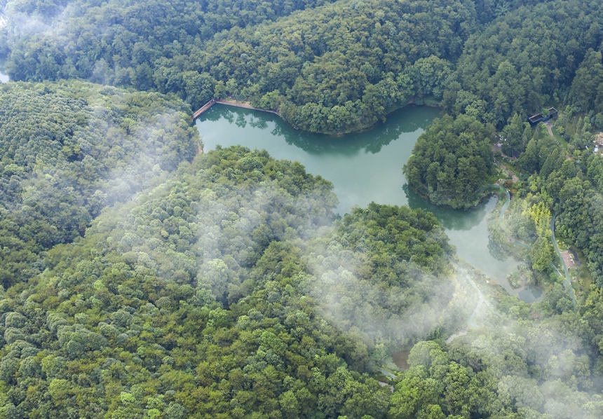 ؑcбՅ^(q)Nɽ^(q)͢z