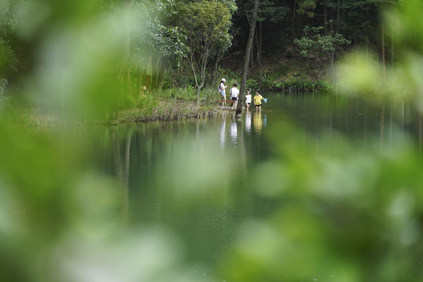 ؑcбՅ^(q)Nɽ^(q)档͢z
