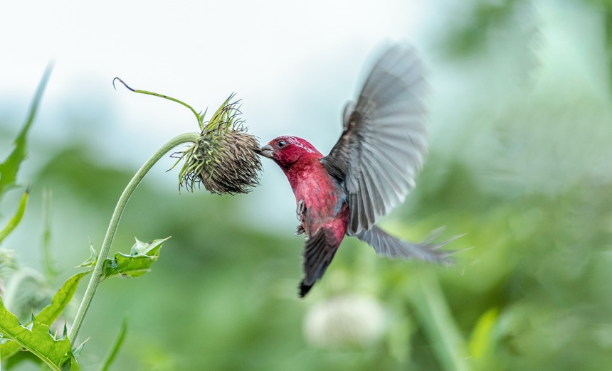 ؑcϴɽwľƼtȸz