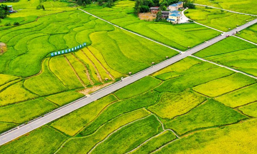 ؑcƽЙC(j)ˮNֲء܂z