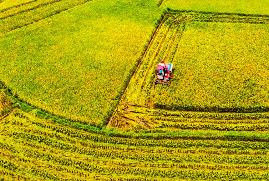 ոC(j)ډ|hɳƺ(zhn)״gոˮLƔz