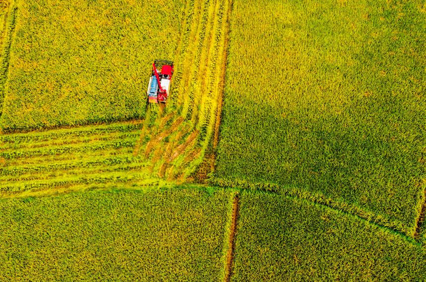 ոCډ|hɳƺ(zhn)״gոˮLƔz