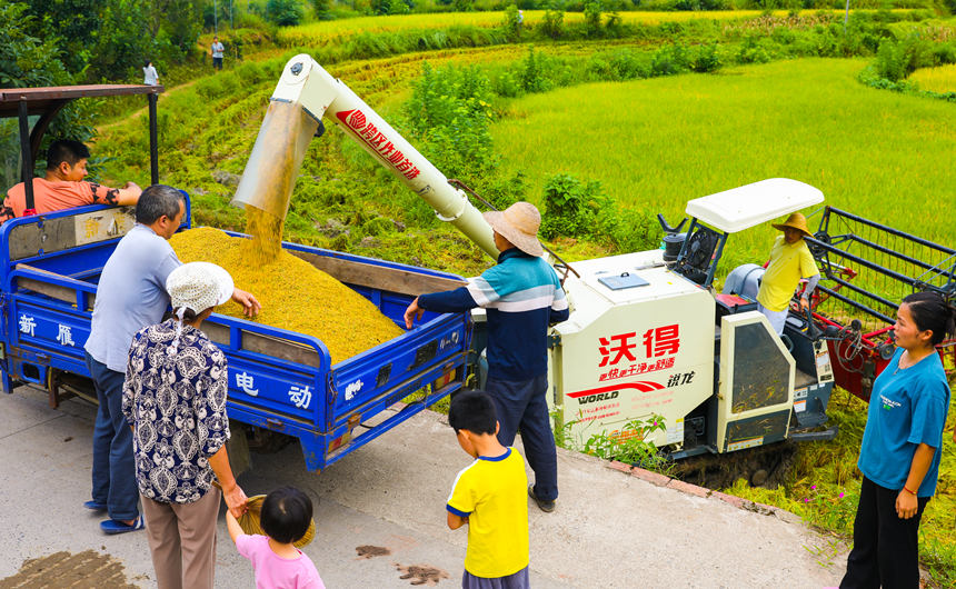 ոCډ|hL(zhn)r(nng)ոˮLƔz