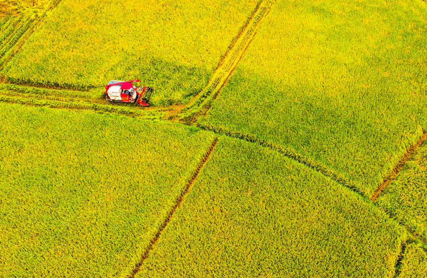 ոCډ|hɳƺ(zhn)״gոˮLƔz