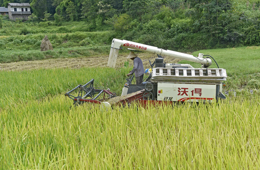 C(j)ո󽵵̈́ڄߵĄڄӏ(qing)ȡSӔz