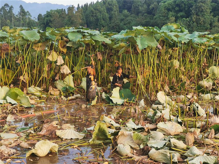 źr(nng)ź~^(q)ίD