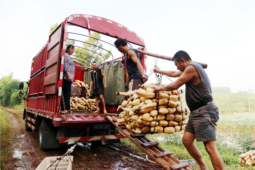 źr(nng)ڰ\(yn)ɏź~^(q)ίD