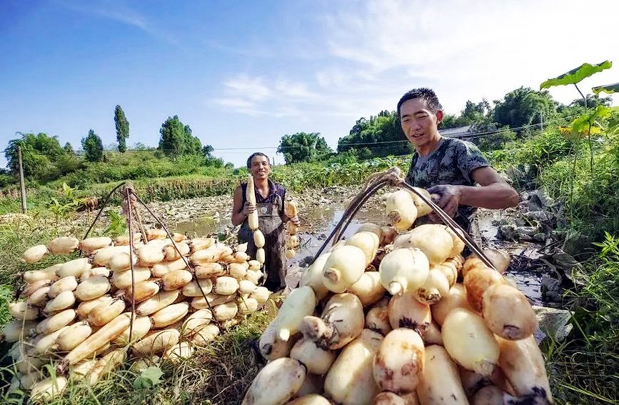 źr(nng)ź~^(q)ίD