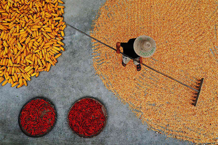 ؑcǭ^(q)Ϫ(zhn)ٵ^(q)׵r(nng)z 