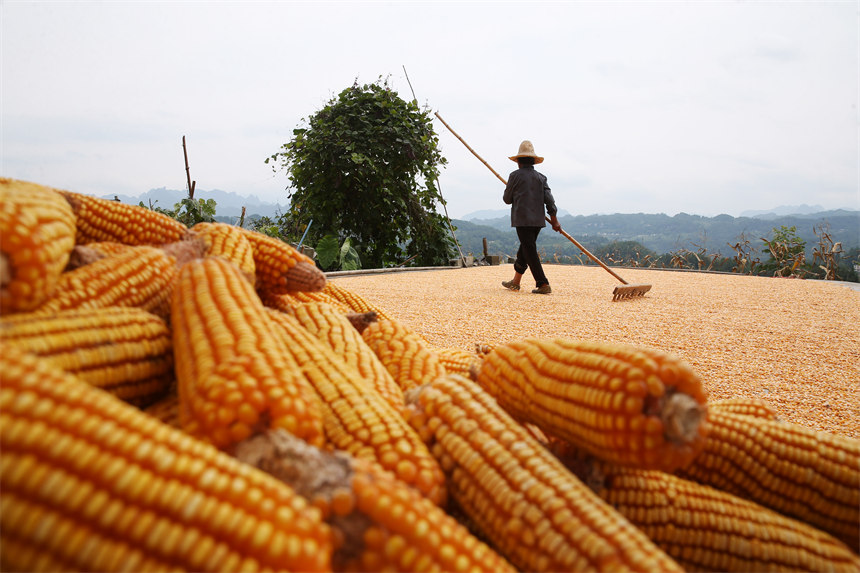 ؑcǭ^(q)Ϫ(zhn)ٵ^(q)׵r(nng)z 