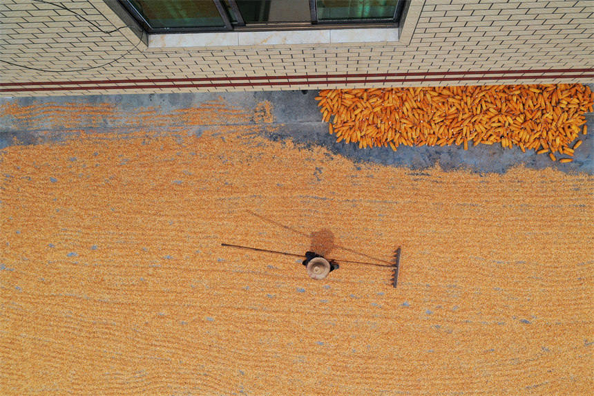 ؑcǭ^(q)Ϫ(zhn)ٵ^(q)׵r(nng)z