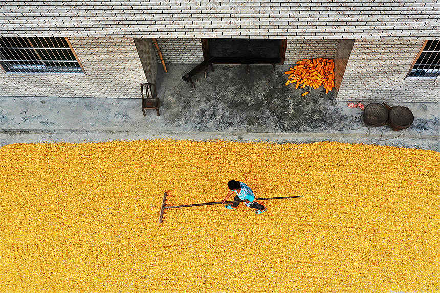 ؑcǭ^(q)Ϫ(zhn)ٵ^(q)׵r(nng)z 