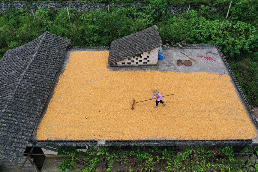 񂃓ץԼҘ피߅Ժz 