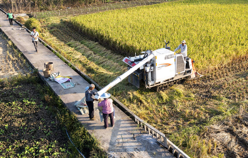 ÙC(j)ոȺb껕Fz