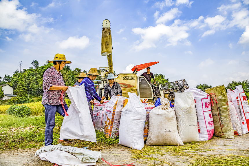 ϴ^(q)ľ(zhn)h(chng)δոĵb푪(yng)Ҕz