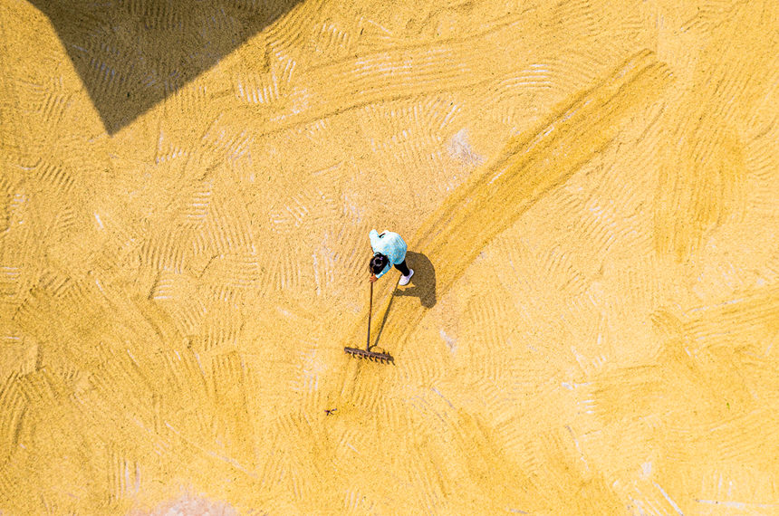 ϴ^(q)d¡(zhn)̴ץס񵾹껕Fz