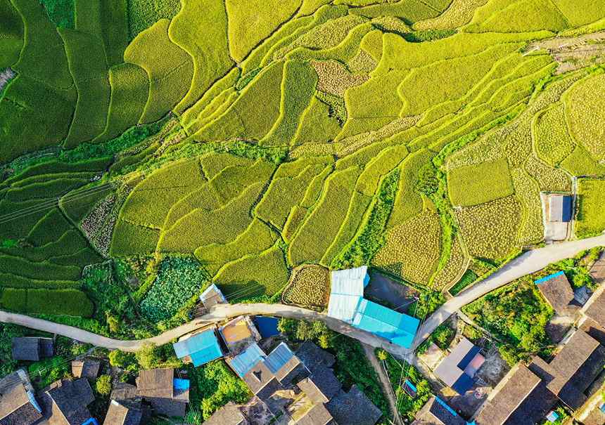 SL(fng)箋ҿhD