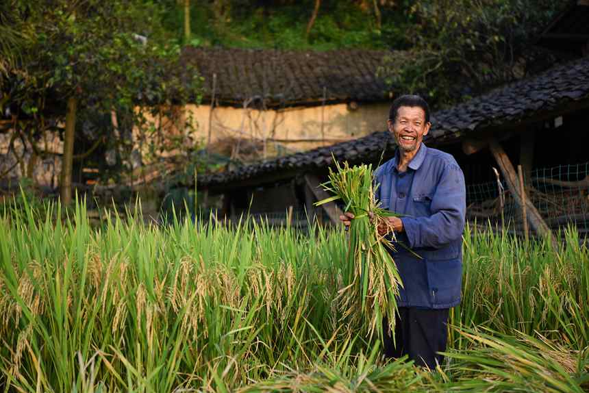 r(nng)SյϲҿhD