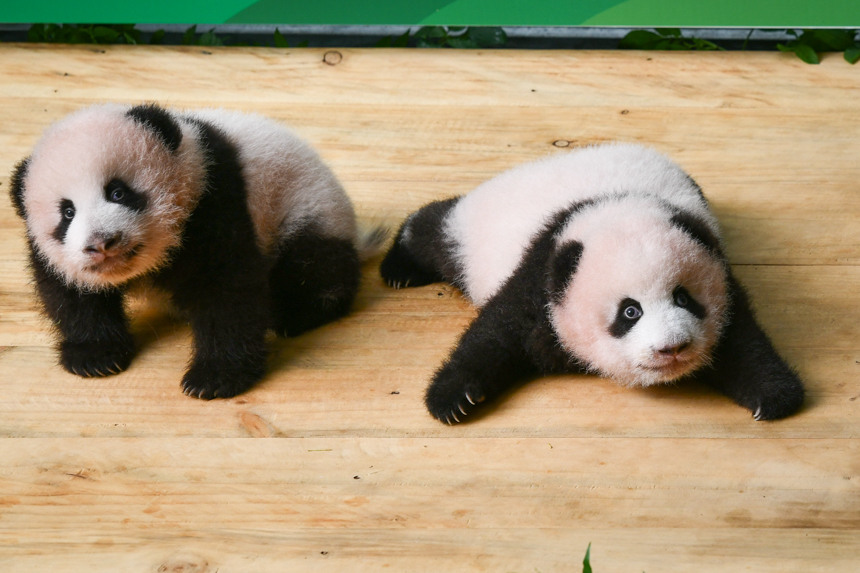 ؑc(dng)@p̥؈M졣uz