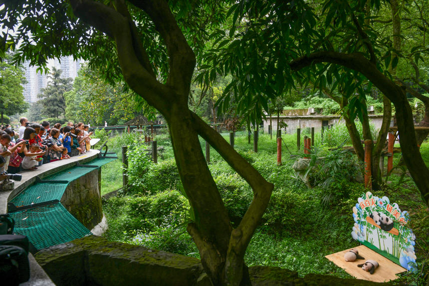 ؑc@p̥؈cοʽҊ档uz