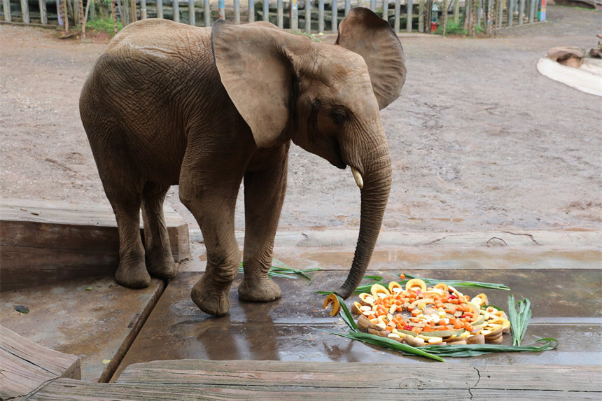 挦(du)AUɽܔz