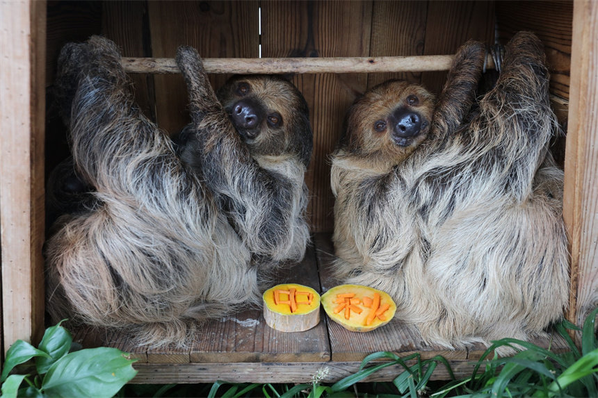 кġʽ_ĺӰɽܔz