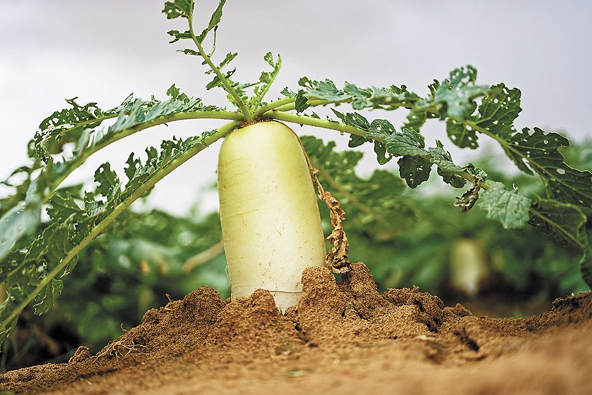 919գ(ni)ɹŞmɳĮɳĮԇл}ɳĮбŰl(f)˳