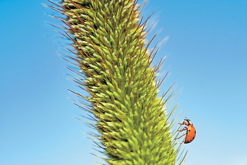 928(ni)ɹŞmɳĮɳĮԇлɳĮдƬֲSСxڴ˰ҡ