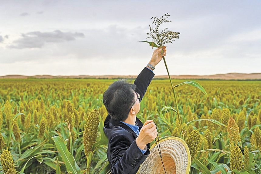 919(ni)ɹŞmɳĮɳĮԇлˆTڸռ(sh)(j)