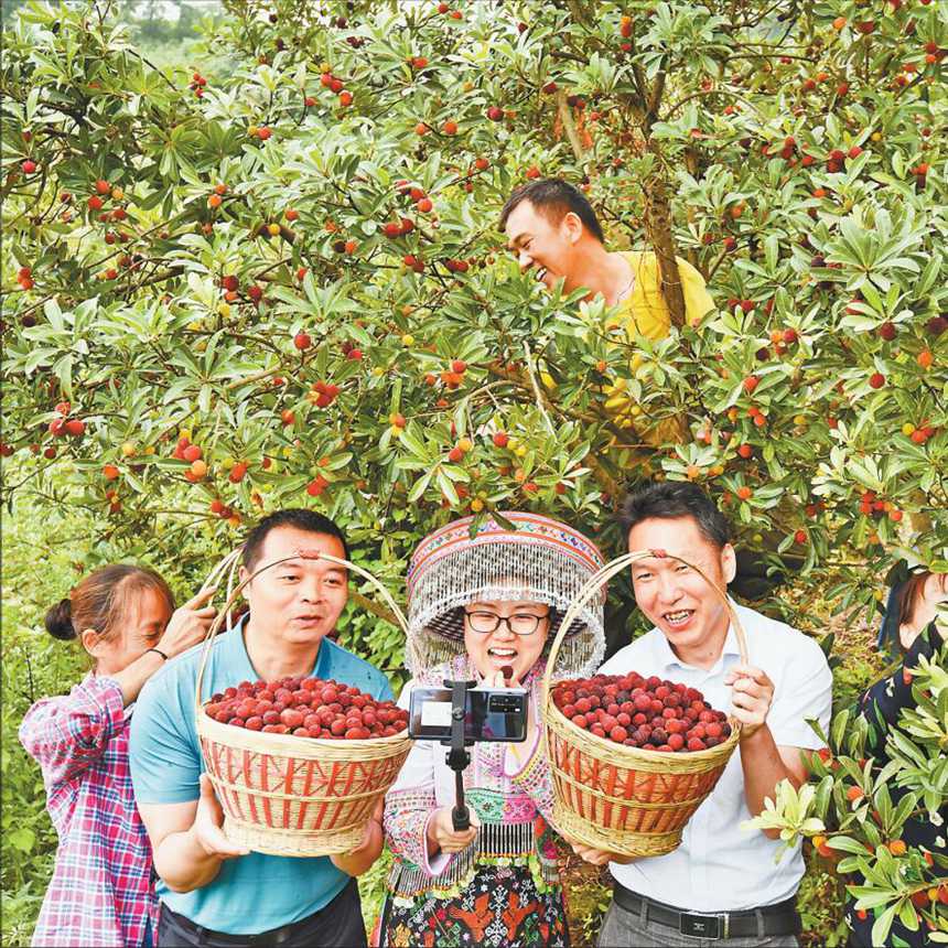 ȫÓؚ(jin)M(jn)ֱ؛ 618ȫÓؚ(jin)M(jn)(g)ꐇ(qing)ǰһ鮔(dng)?sh)؃?yu)|(zh)÷ֱ؛ z