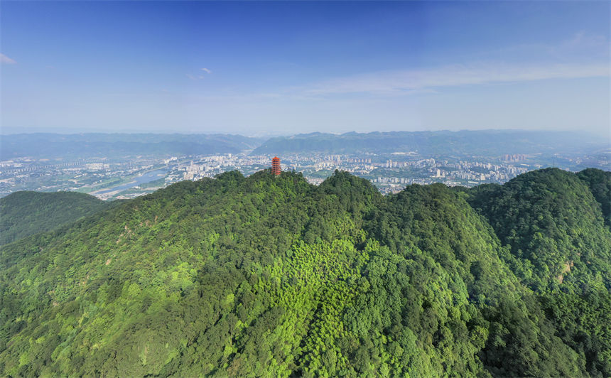 Յ^(q)NɽՅ^(q)B(ti)h(hun)ֹD