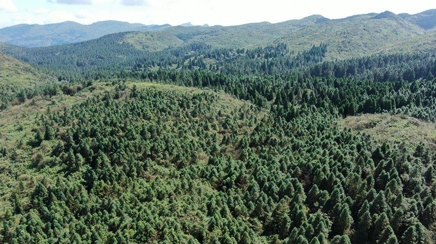 Shм(j)Ȼo(h)^(q)o(w)˅^(q)ֲSAz