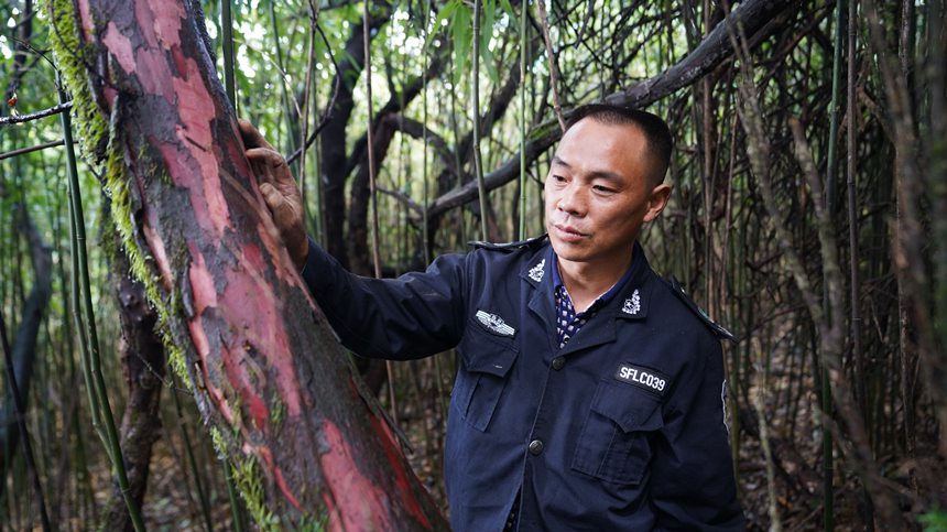 dAÿ¶Ѳo^(q)(ni)ϷtɼAz