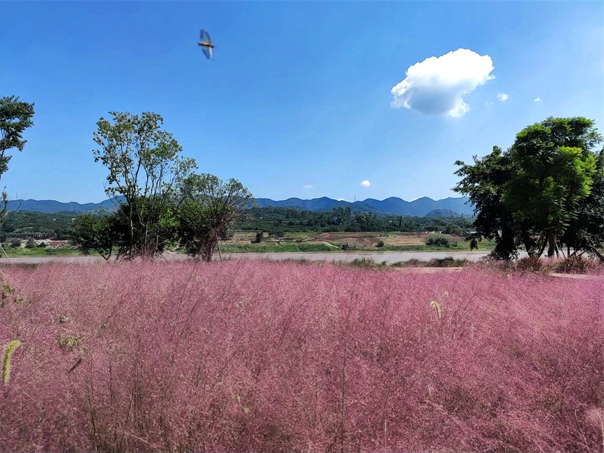 VꖍuB(ti)ޏ(f)^(q)pӯġVķ˝Mһ@ͮz