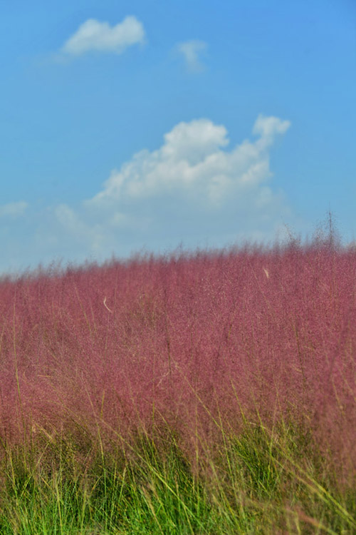 h(yun)h(yun)ȥɫҰ߅Ĳϼ΢L(fng)ppuҷz