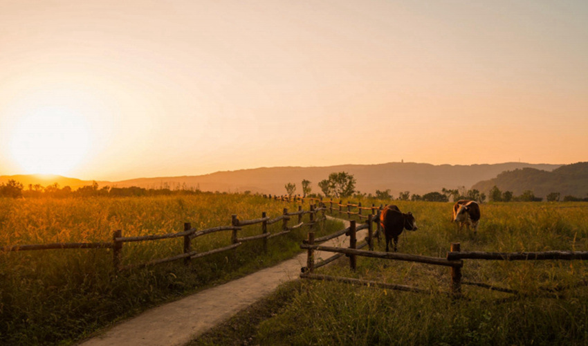 ݈(chng)VꖍuGɫl(f)չ˾D