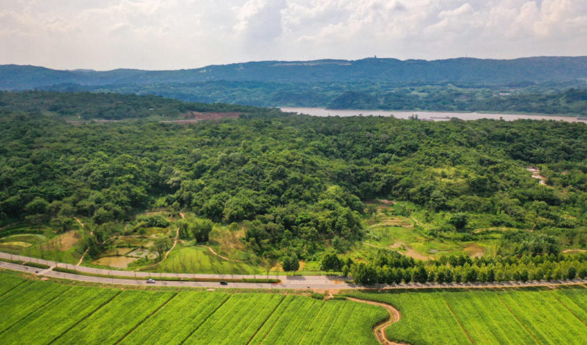 С΢VꖍuGɫl(f)չ˾D