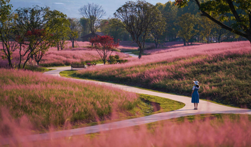 VꖍuGɫl(f)չ˾D